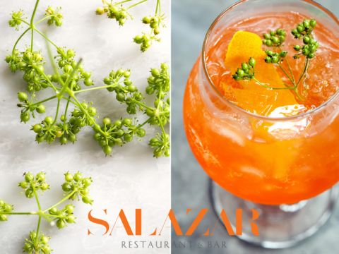 salazar-cocktail2-copybl