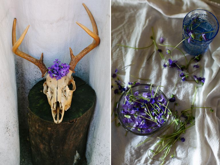 wild violets skulls 
