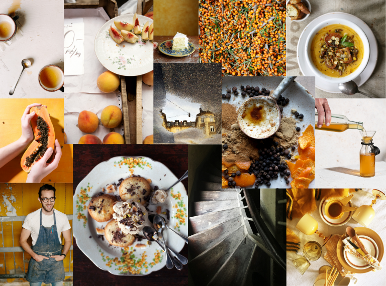 mood board of images of food, still life's, portraits drinks all the colors of marigold